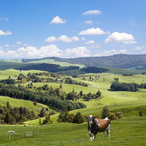 Explore Our Backyard